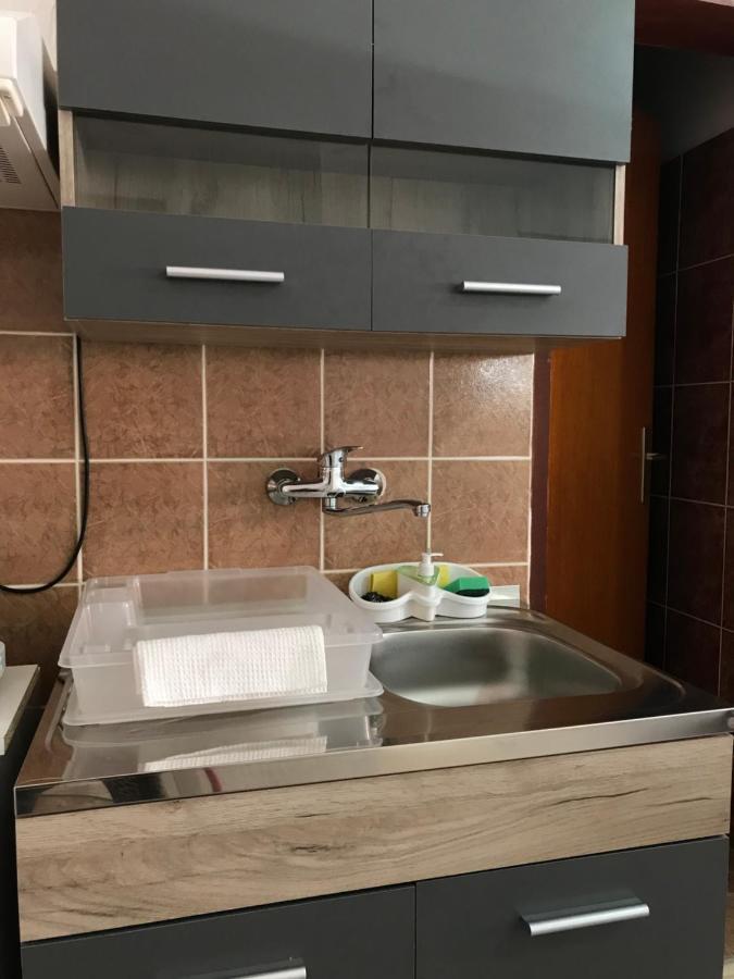 Apartman Studio Milojkovic Golubac Exteriér fotografie