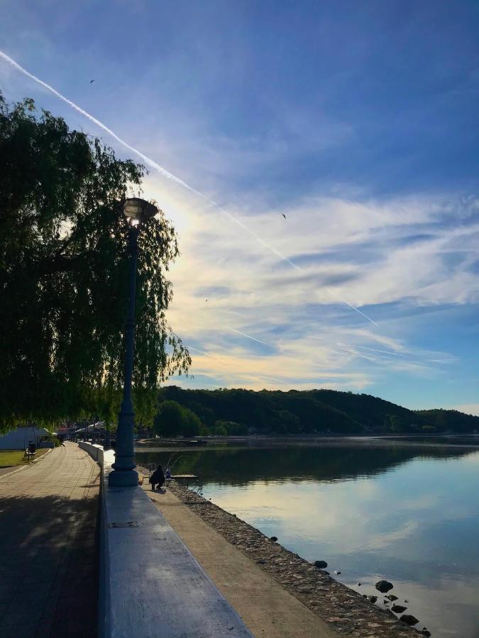 Apartman Studio Milojkovic Golubac Exteriér fotografie