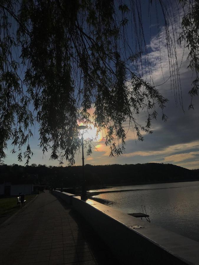 Apartman Studio Milojkovic Golubac Exteriér fotografie