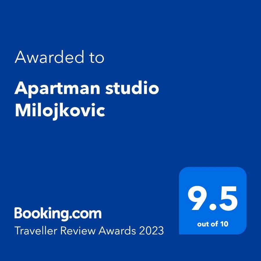 Apartman Studio Milojkovic Golubac Exteriér fotografie